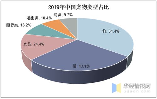 如何提高宠物食品蛋