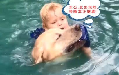 救宠物狗溺水